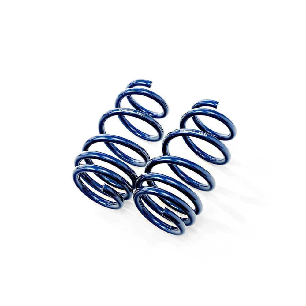 Lowering Springs for Tesla Model 3