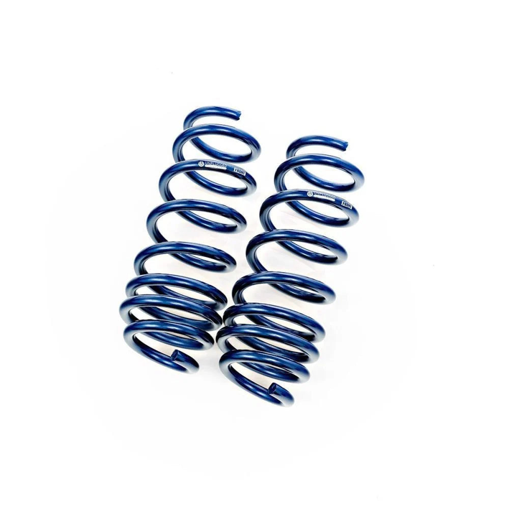 Lowering Springs for Tesla Model 3
