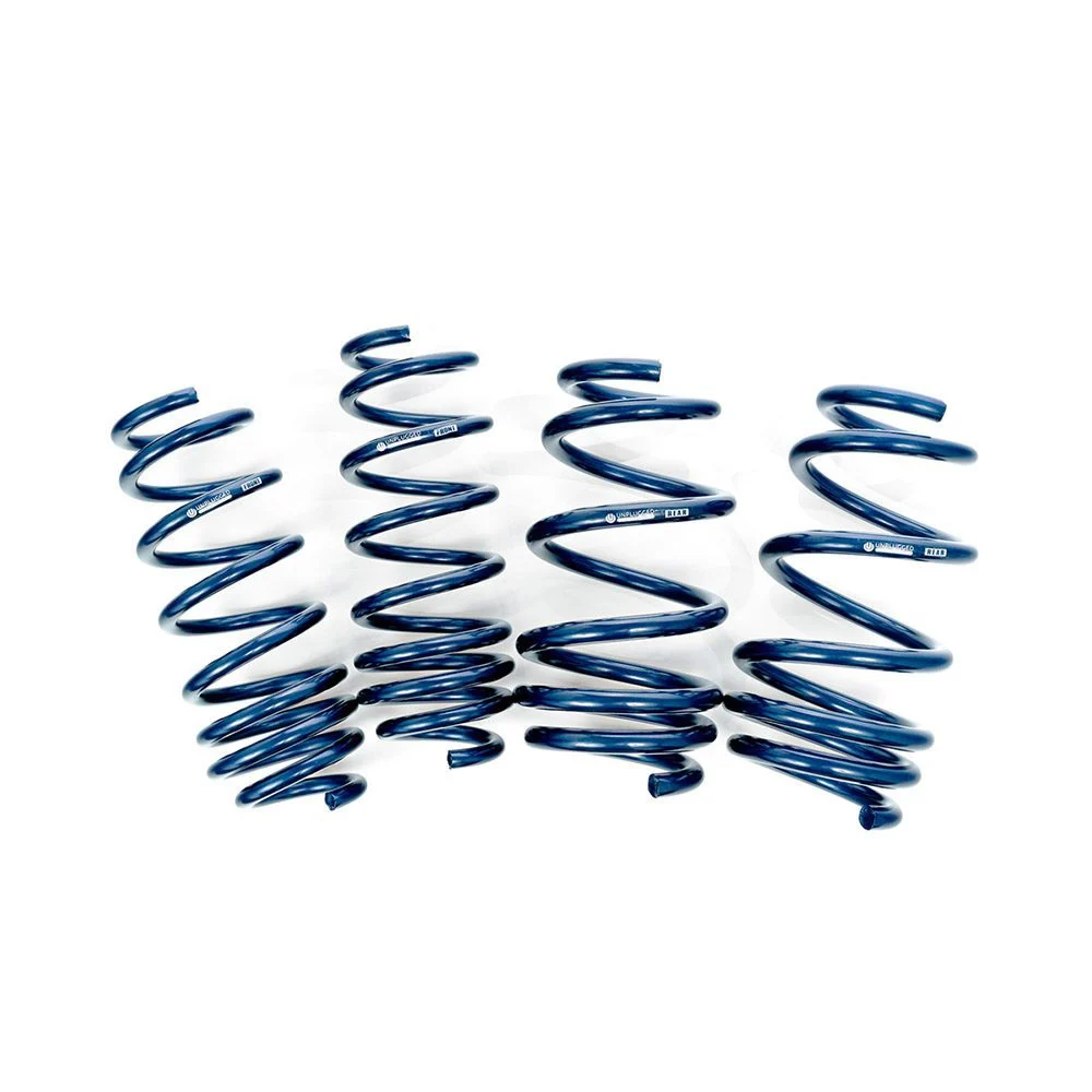 Lowering Springs for Tesla Model 3