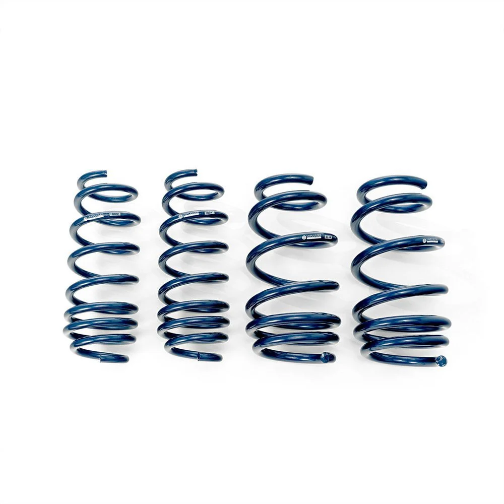 Lowering Springs for Tesla Model 3