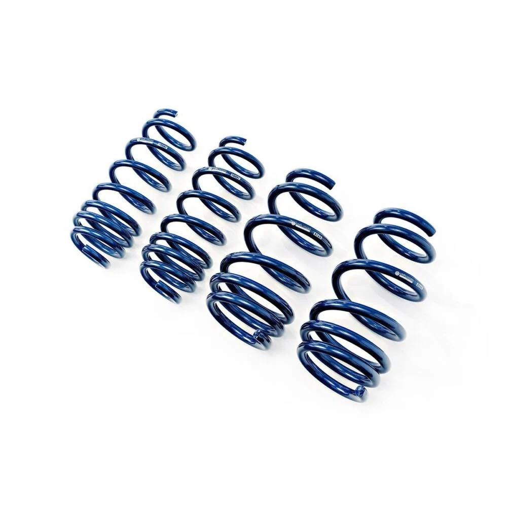 Lowering Springs for Tesla Model 3