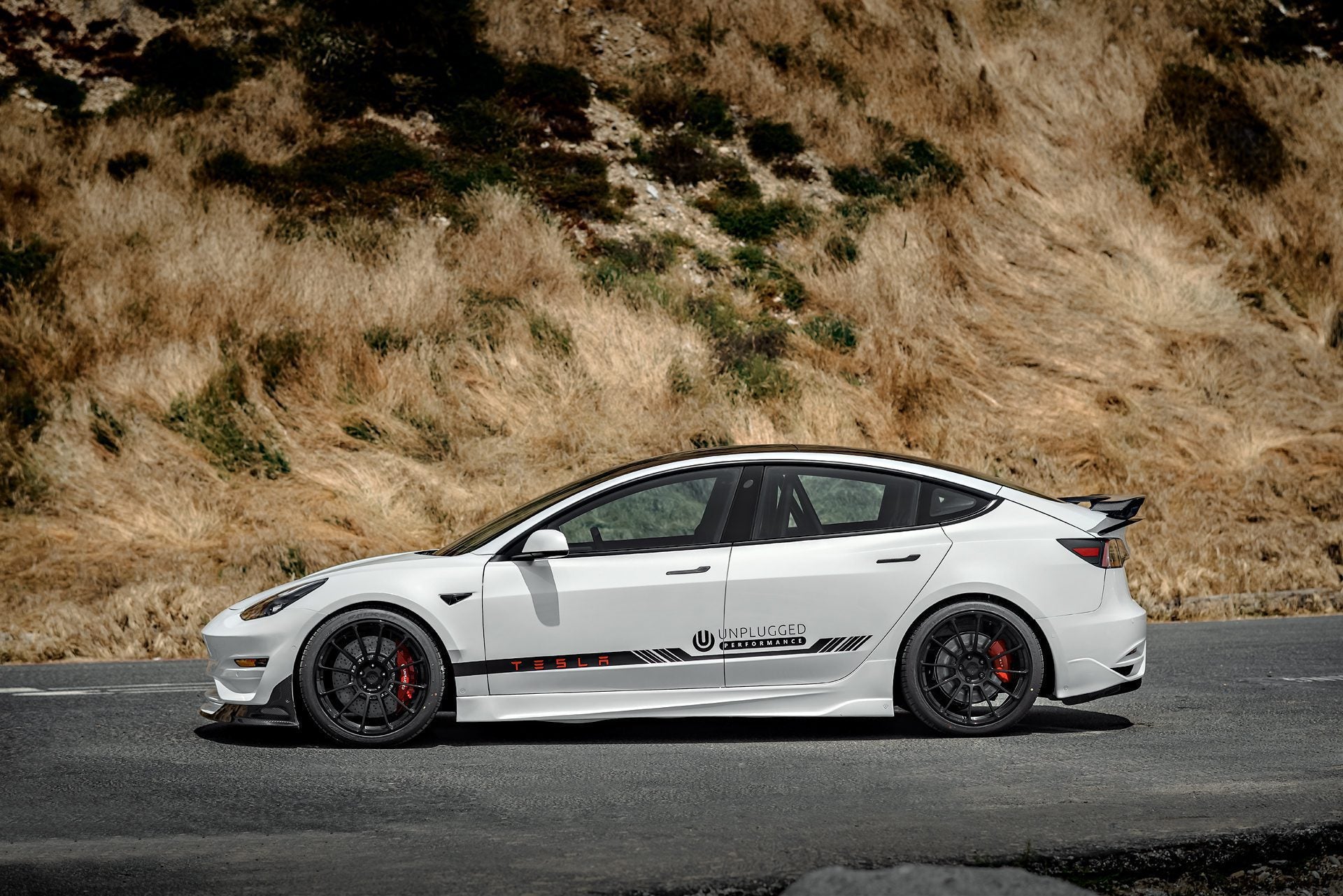 Ascension Rear Bumper and Diffuser System for Model 3